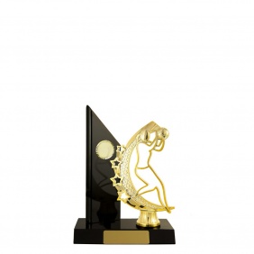 Netball Trophy N22DKA - Trophy Land Netball Trophy N22DKA - Trophy Land