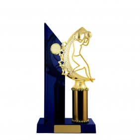 Netball Trophy N22RBD - Trophy Land Netball Trophy N22RBD - Trophy Land