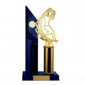 Netball Trophy N22RBE - Trophy Land Netball Trophy N22RBE - Trophy Land