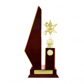 Netball Trophy N23CHE - Trophy Land Netball Trophy N23CHE - Trophy Land