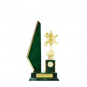 Netball Trophy N23GNC - Trophy Land Netball Trophy N23GNC - Trophy Land