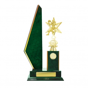 Netball Trophy N23GNE - Trophy Land Netball Trophy N23GNE - Trophy Land