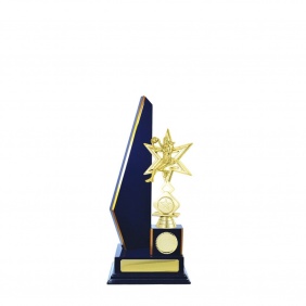 Netball Trophy N23RBB - Trophy Land Netball Trophy N23RBB - Trophy Land
