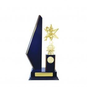 Netball Trophy N23RBD - Trophy Land Netball Trophy N23RBD - Trophy Land