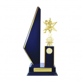 Netball Trophy N23RBE - Trophy Land Netball Trophy N23RBE - Trophy Land