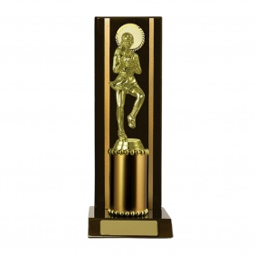 Netball Trophy N24DKC - Trophy Land Netball Trophy N24DKC - Trophy Land