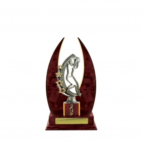 Netball Trophy N25CHB - Trophy Land Netball Trophy N25CHB - Trophy Land
