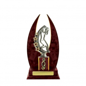Netball Trophy N25CHC - Trophy Land Netball Trophy N25CHC - Trophy Land