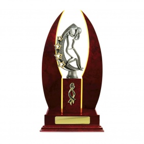 Netball Trophy N25CHD - Trophy Land Netball Trophy N25CHD - Trophy Land