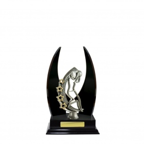 Netball Trophy N25DKA - Trophy Land Netball Trophy N25DKA - Trophy Land