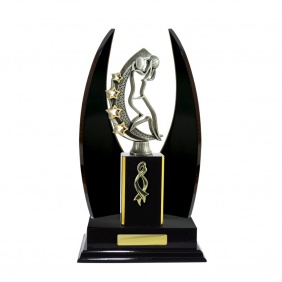 Netball Trophy N25DKD - Trophy Land Netball Trophy N25DKD - Trophy Land
