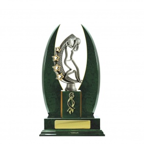 Netball Trophy N25GNC - Trophy Land Netball Trophy N25GNC - Trophy Land