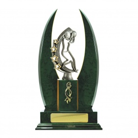 Netball Trophy N25GND - Trophy Land Netball Trophy N25GND - Trophy Land