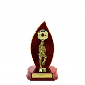 Netball Trophy N26CHA - Trophy Land Netball Trophy N26CHA - Trophy Land