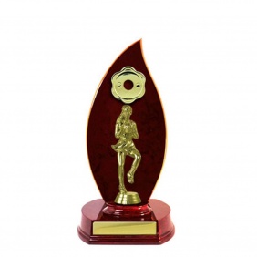 Netball Trophy N26CHB - Trophy Land Netball Trophy N26CHB - Trophy Land