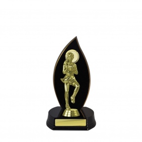 Netball Trophy N26DKA - Trophy Land Netball Trophy N26DKA - Trophy Land