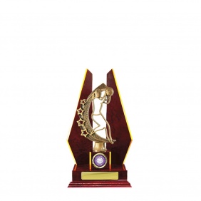 Netball Trophy N27CHB - Trophy Land Netball Trophy N27CHB - Trophy Land