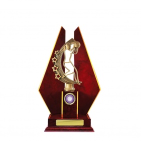 Netball Trophy N27CHD - Trophy Land Netball Trophy N27CHD - Trophy Land