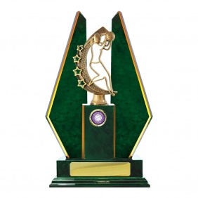 Netball Trophy N27GNE - Trophy Land Netball Trophy N27GNE - Trophy Land