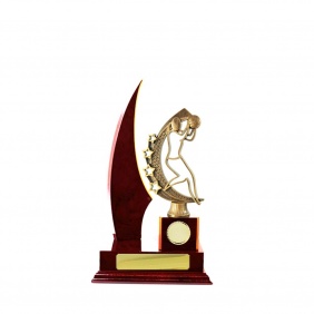Netball Trophy N29CHB - Trophy Land Netball Trophy N29CHB - Trophy Land