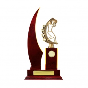 Netball Trophy N29CHD - Trophy Land Netball Trophy N29CHD - Trophy Land