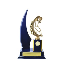 N29RBC