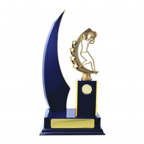 Netball Trophy N29RBD - Trophy Land Netball Trophy N29RBD - Trophy Land