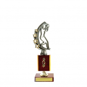 Netball Trophy N32CHC - Trophy Land Netball Trophy N32CHC - Trophy Land