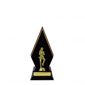 Netball Trophy N34DKA - Trophy Land Netball Trophy N34DKA - Trophy Land