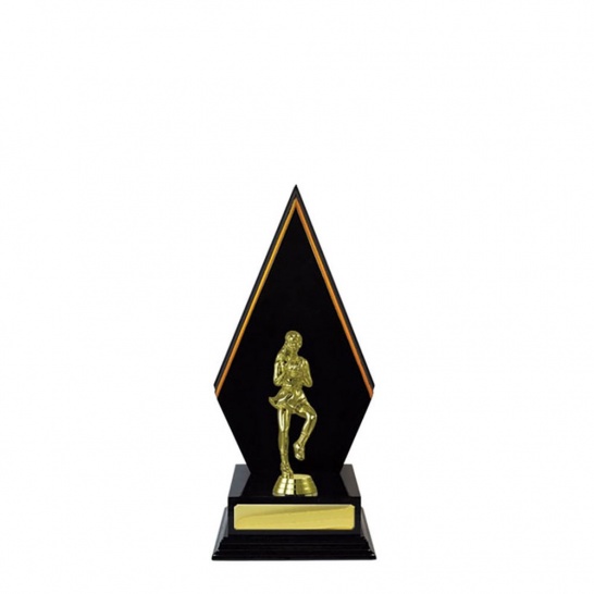 N34DKA - Trophy Land
