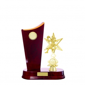 Netball Trophy N35CHA - Trophy Land Netball Trophy N35CHA - Trophy Land