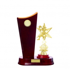 Netball Trophy N35CHB - Trophy Land Netball Trophy N35CHB - Trophy Land