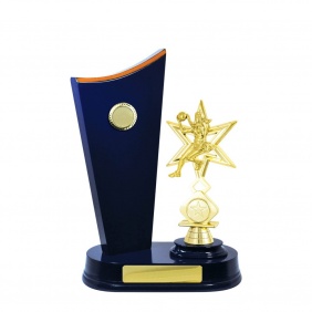 Netball Trophy N35RBB - Trophy Land Netball Trophy N35RBB - Trophy Land