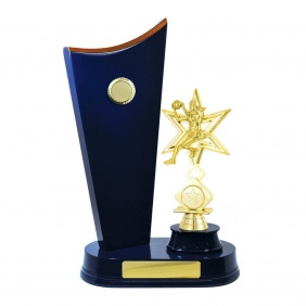 Netball Trophy N35RBC - Trophy Land Netball Trophy N35RBC - Trophy Land