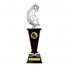 Netball Trophy N36DKD - Trophy Land Netball Trophy N36DKD - Trophy Land