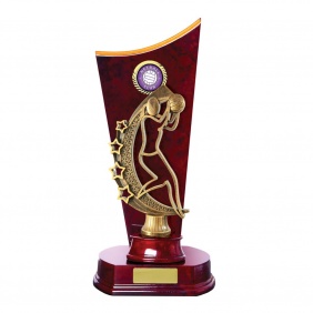 Netball Trophy N37CHC - Trophy Land Netball Trophy N37CHC - Trophy Land