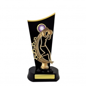 Netball Trophy N37DKB - Trophy Land Netball Trophy N37DKB - Trophy Land