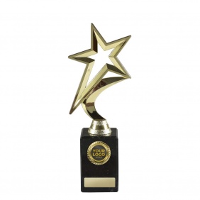 Netball Trophy N54C - Trophy Land Netball Trophy N54C - Trophy Land