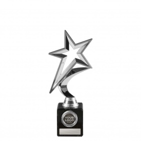 Netball Trophy N55B - Trophy Land Netball Trophy N55B - Trophy Land