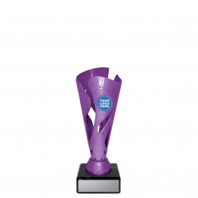 Netball Trophy N602A - Trophy Land Netball Trophy N602A - Trophy Land
