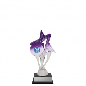 Netball Trophy N605A - Trophy Land Netball Trophy N605A - Trophy Land