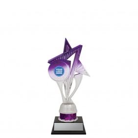 Netball Trophy N605B - Trophy Land Netball Trophy N605B - Trophy Land