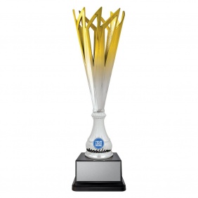 Netball Trophy N611D - Trophy Land Netball Trophy N611D - Trophy Land