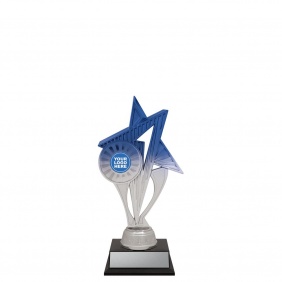 Netball Trophy N614A - Trophy Land Netball Trophy N614A - Trophy Land