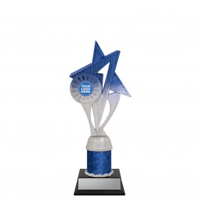 Netball Trophy N614C - Trophy Land Netball Trophy N614C - Trophy Land