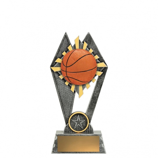 P2160A - P2160A - Peak - Basketball in Colour - 180mm - Trophy Land P2160A - Trophy Land