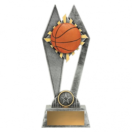 P2160C - P2160C - Peak - Basketball in Colour - 225mm - Trophy Land P2160C - Trophy Land