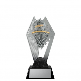 Netball Trophy PH37A - Trophy Land Netball Trophy PH37A - Trophy Land