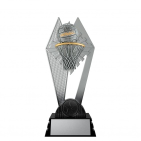 Netball Trophy PH37B - Trophy Land Netball Trophy PH37B - Trophy Land