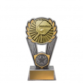 Pickleball Trophy PLS171A - Trophy Land